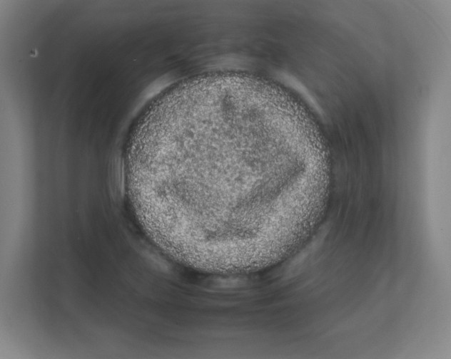 X0000111471219200908101108