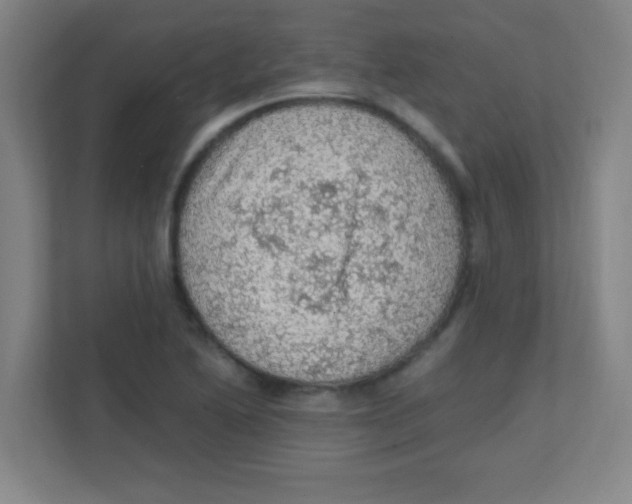 X0000111471222200908101108