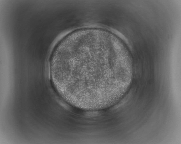 X0000111471223200908101108