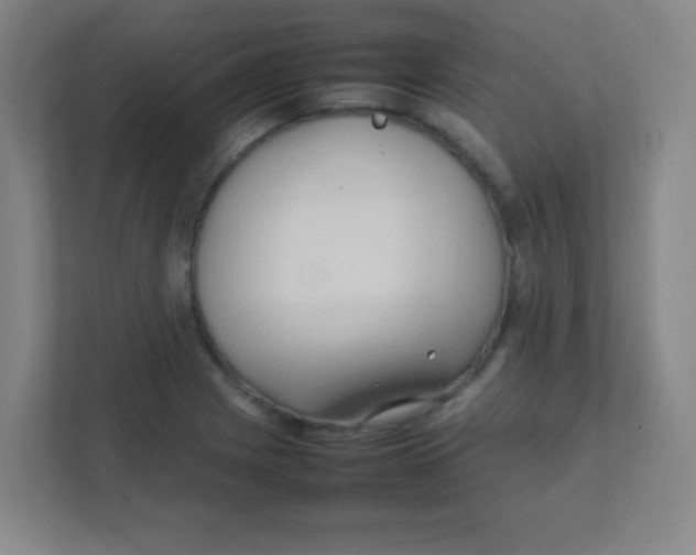 X0000111471225200908101108