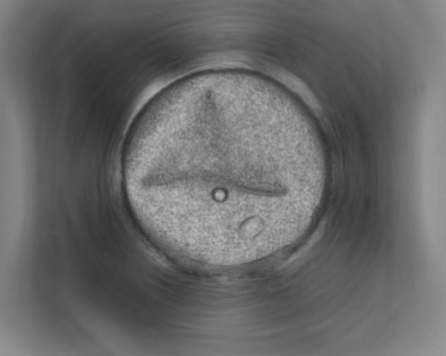 X0000111471226200908101108