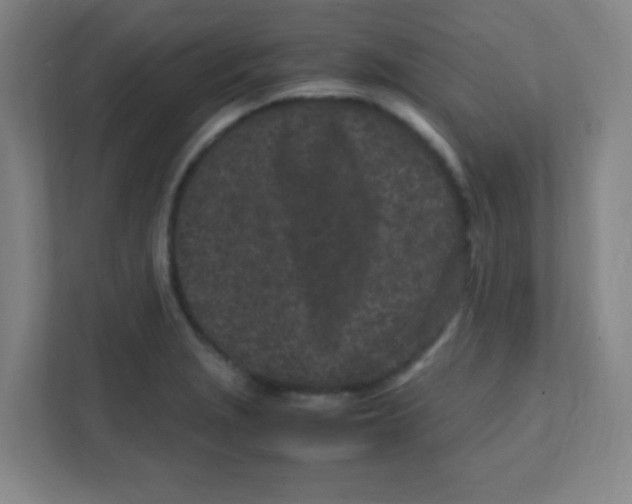 X0000111471229200908101108