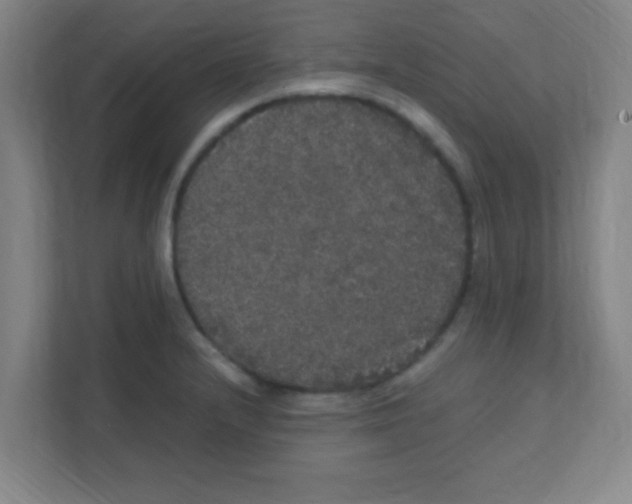 X0000111471232200908101108