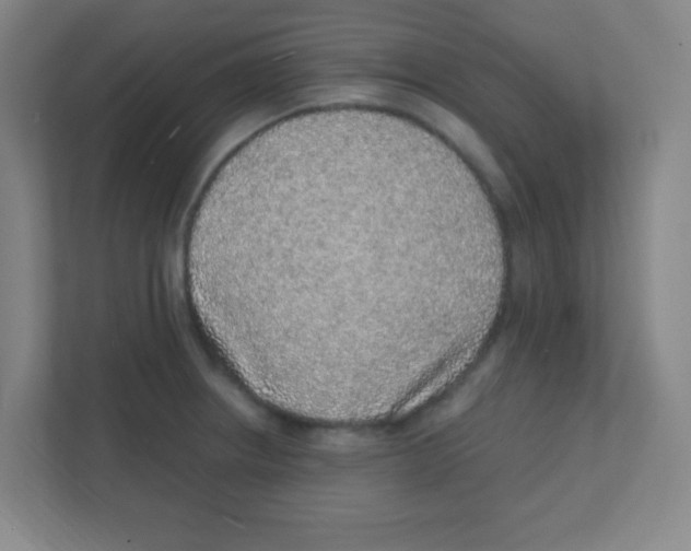 X0000111471234200908101108