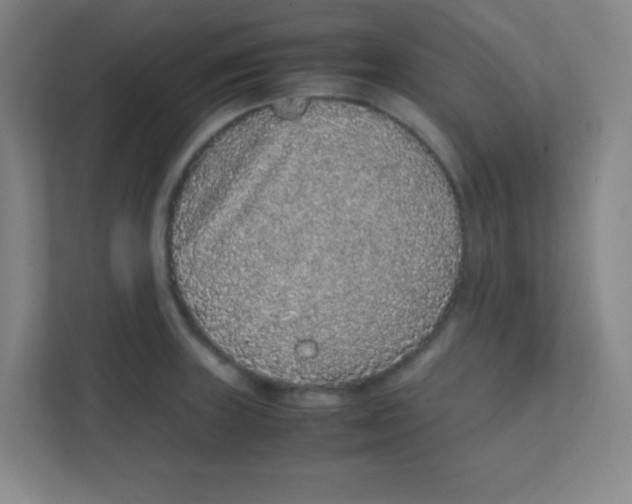 X0000111471235200908101108