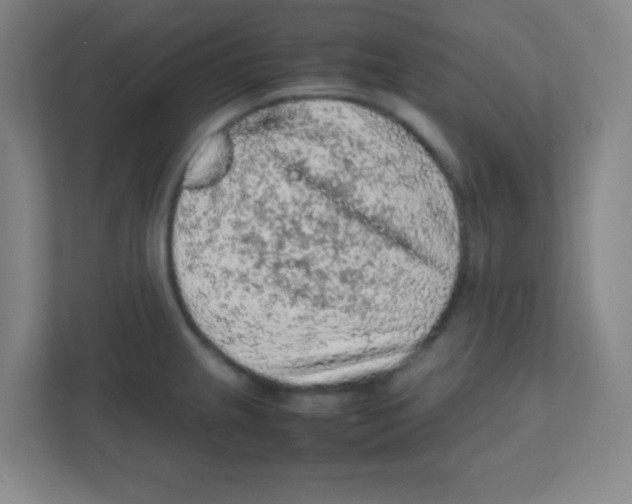 X0000111471237200908101108