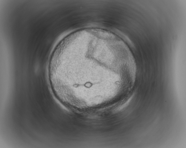 X0000111471239200908101108