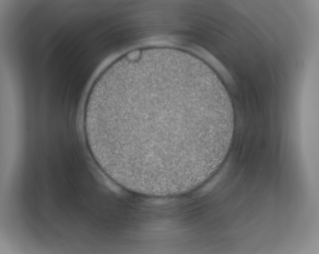 X0000111471240200908101108