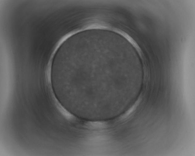 X0000111471246200908101108