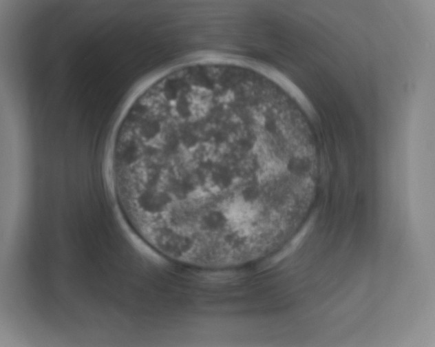 X0000111471247200908101108