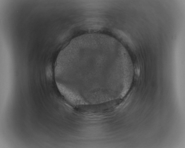 X0000111471252200908101108