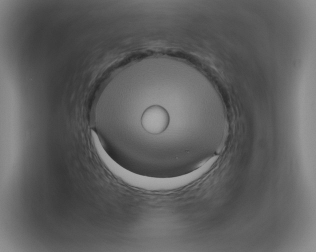 X0000111471253200908101108