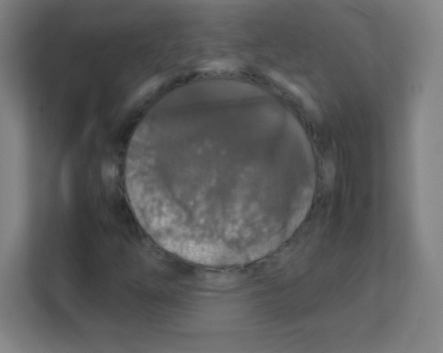 X0000111471254200908101108