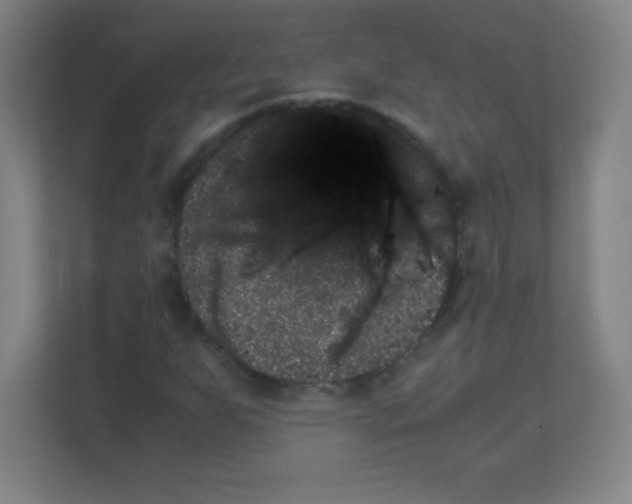 X0000111471255200908101107