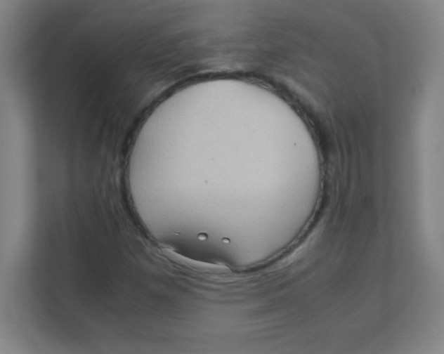 X0000111471257200908101107