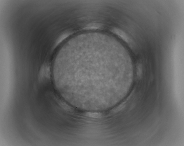 X0000111471258200908101107