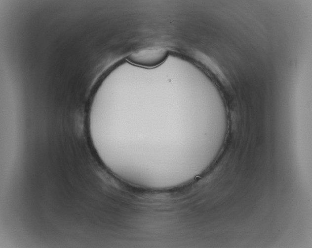 X0000111471260200908101107