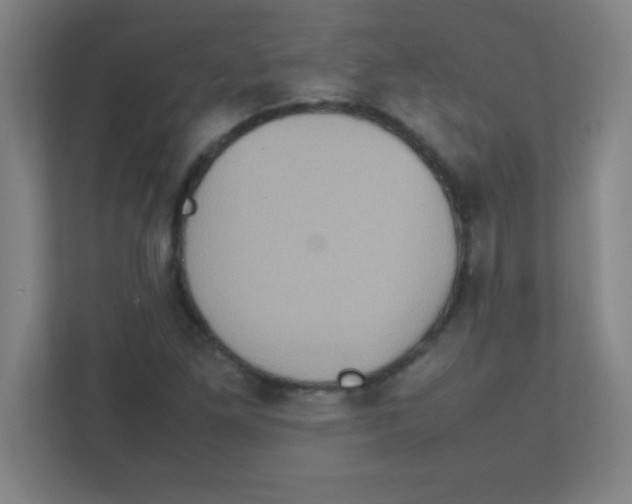 X0000111471261200908101107