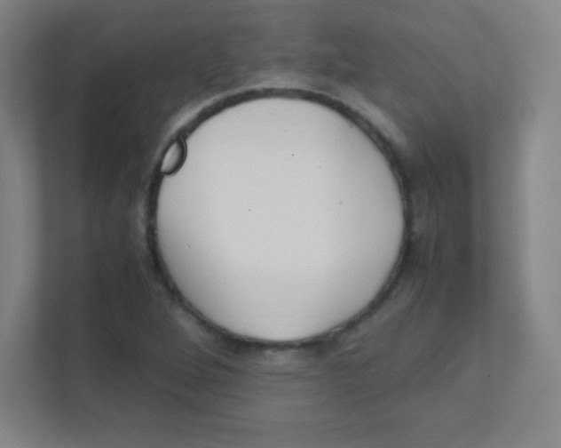 X0000111471264200908101107