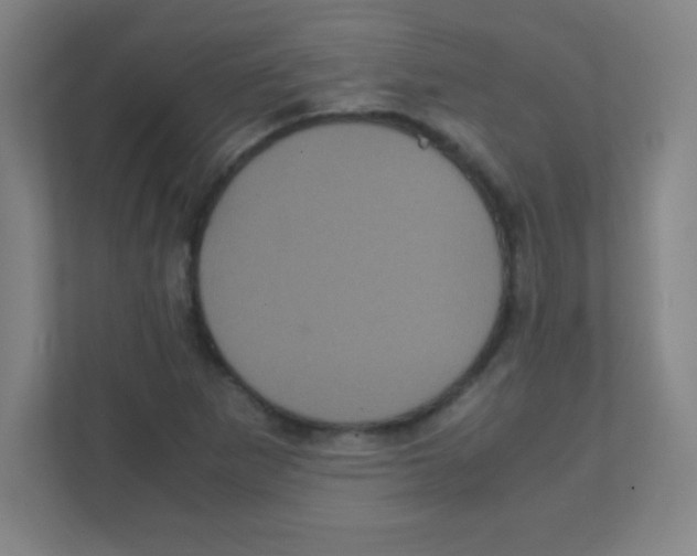 X0000111471265200908101107