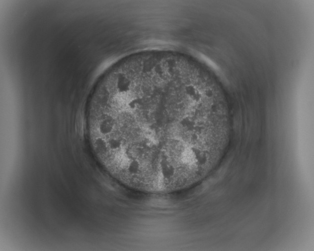 X0000111471267200908101107