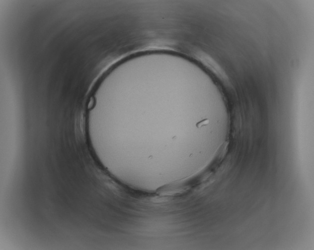 X0000111471268200908101107