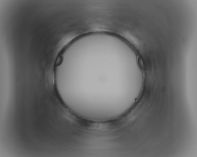 X0000111471269200908101107