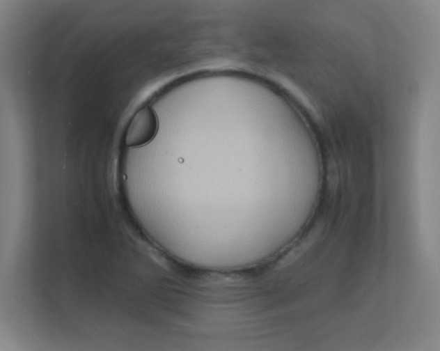 X0000111471270200908101107