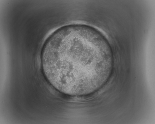 X0000111471271200908101107