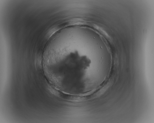 X0000111471273200908101107