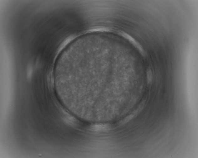 X0000111471274200908101107