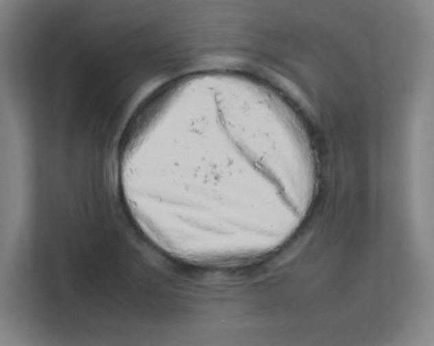 X0000111471275200908101107