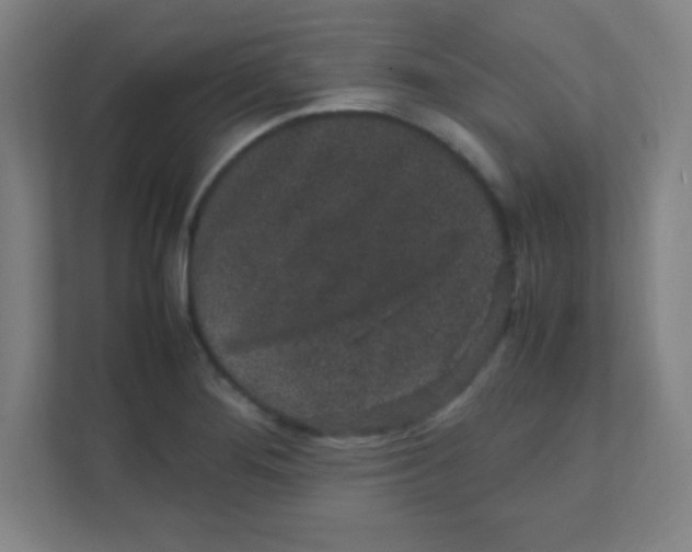 X0000111471276200908101107