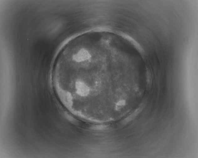 X0000111471278200908101107