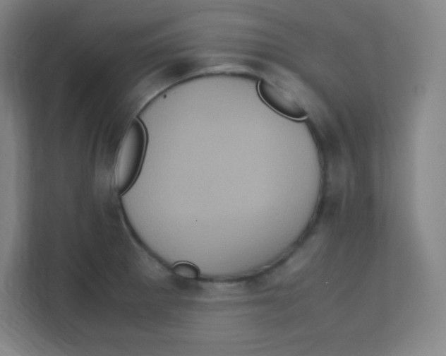 X0000111471281200908101107