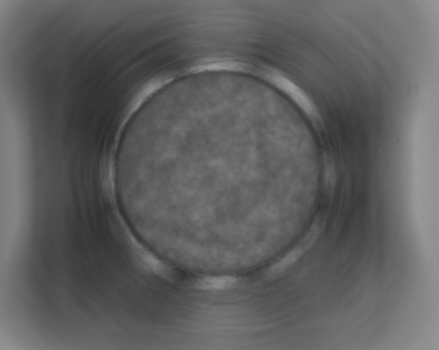 X0000111471282200908101107