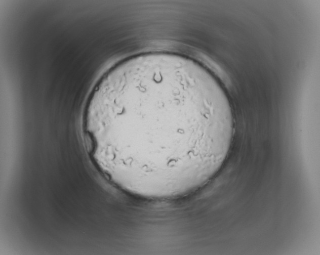 X0000111471283200908101107