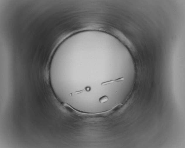 X0000111471284200908101107