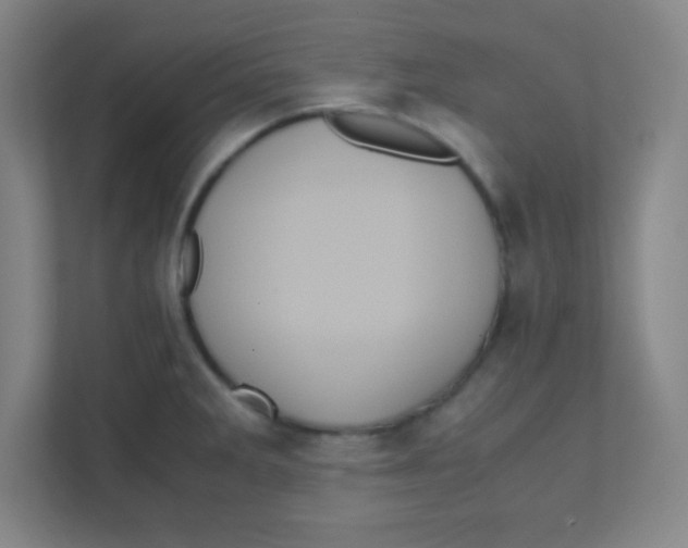 X0000111471285200908101107