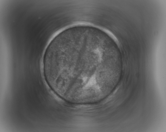 X0000111471287200908101107