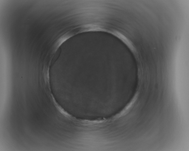 X0000111471289200908101107