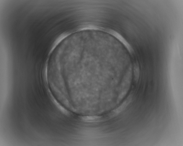 X0000111471290200908101107