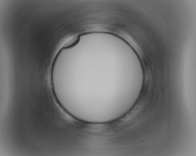 X0000111471293200908101107