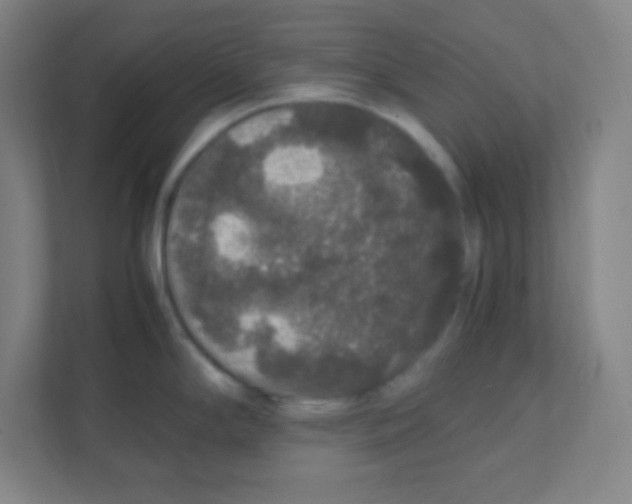 X0000111471294200908101107