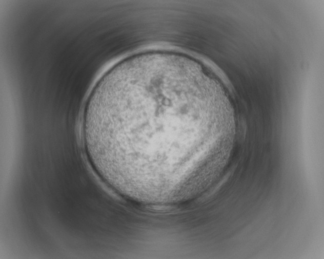 X0000111471295200908101107