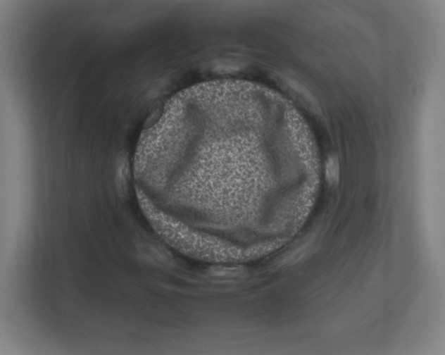 X0000111471299200908101106