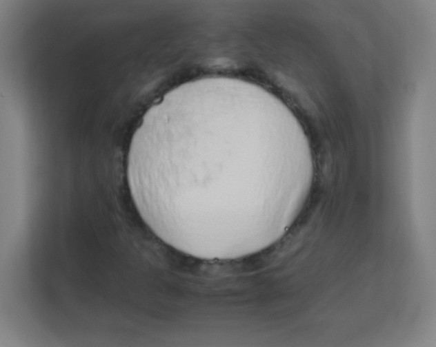 X0000111471301200908101106