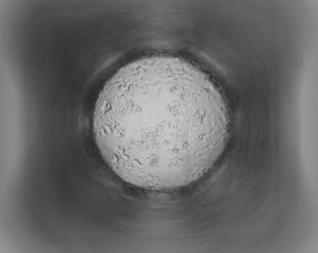 X0000111471302200908101106