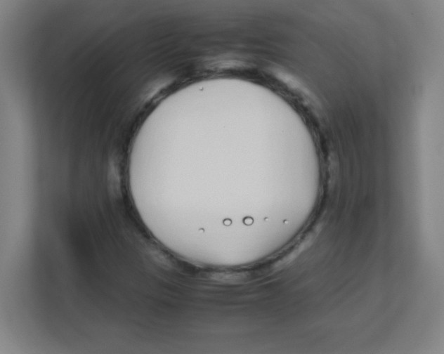 X0000111471305200908101106