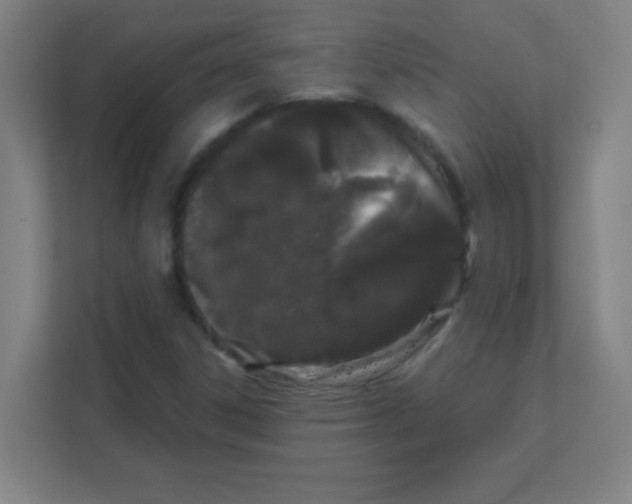 X0000111471306200908101106